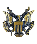 Eagle bronze 1